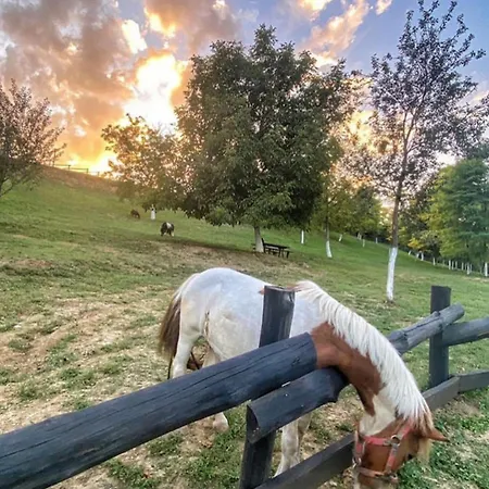 Resort Fruskogorska Lugarnica