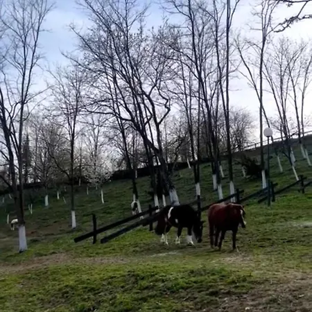 Resort Fruskogorska Lugarnica