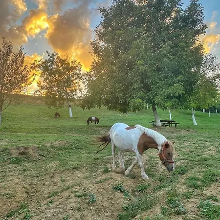 Fruskogorska Lugarnica Resort *